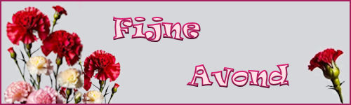 fijne avond