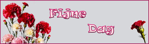 fijne dag
