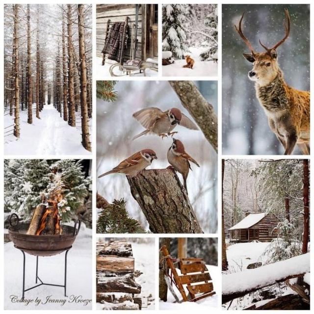 Winter Collage 11.j…